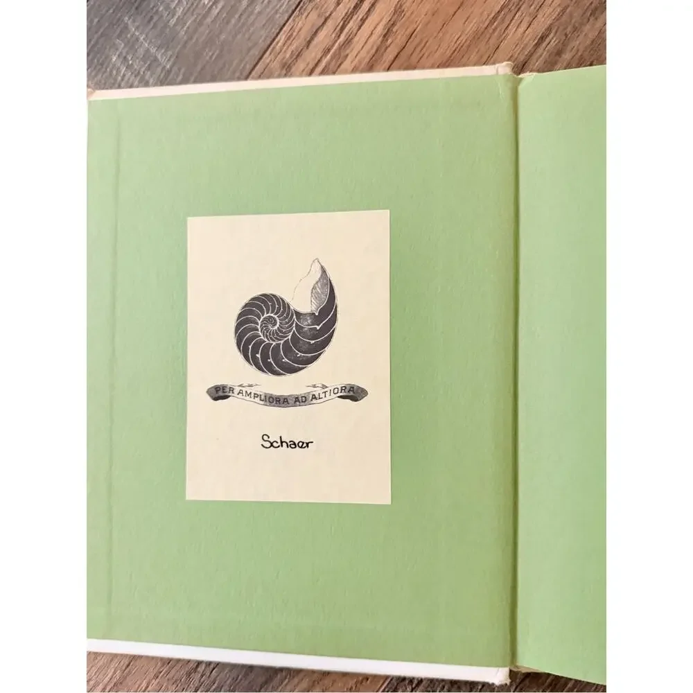 Morris’s Disappearing Bag | A Christmas Story by Rosemary Wells | Vintage book